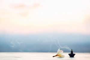 Patchouli: l&rsquo;antica essenza d&rsquo;Oriente tra propriet&agrave;, benefici e usi