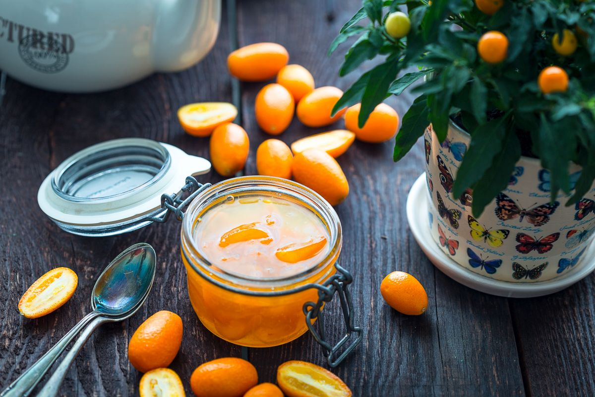 Marmellata di mandarini cinesi, una conserva dal gusto unico 1 marmellata di mandarini cinesi