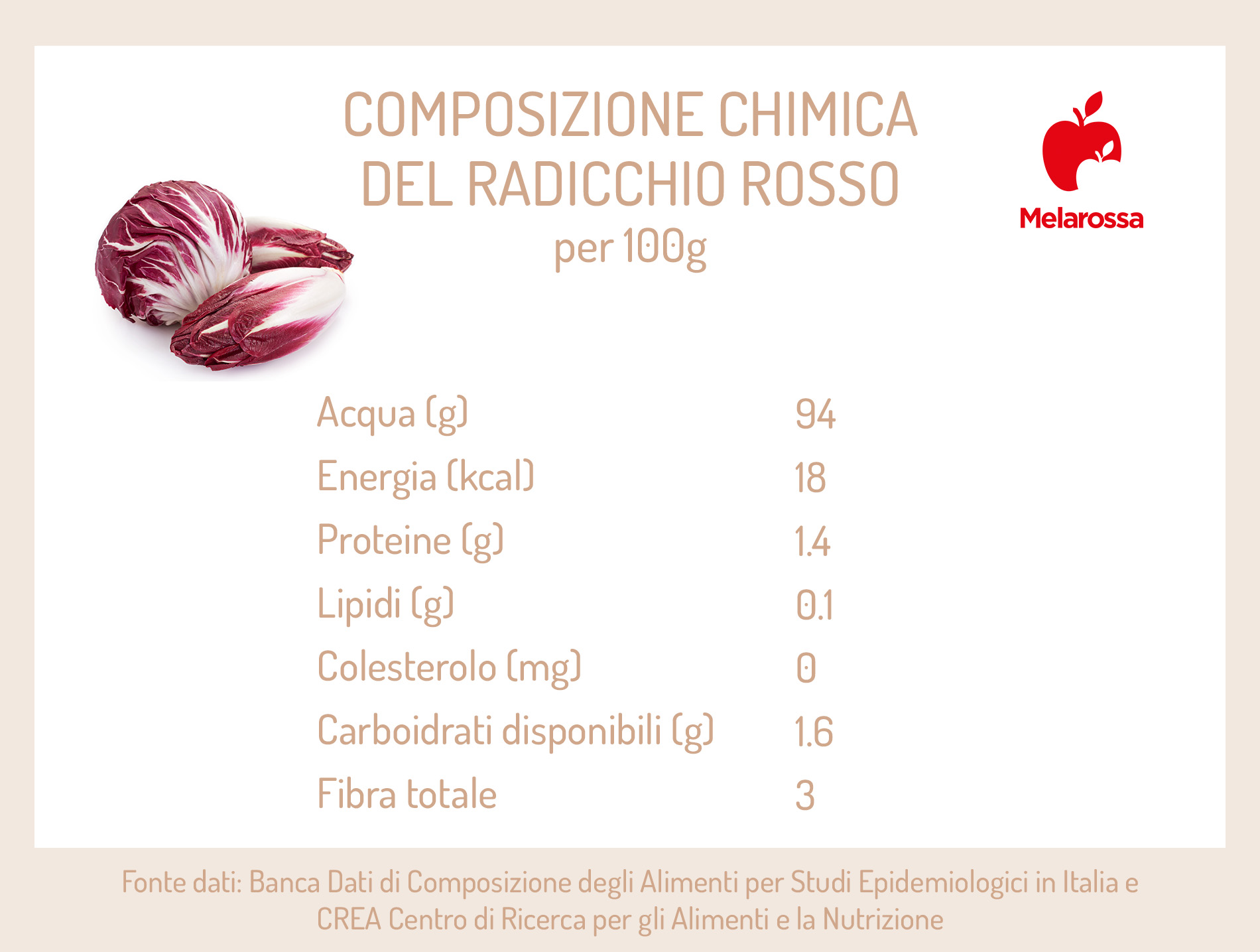 Radicchio: proprietà, benefici e le migliori ricette per gustarlo 2 radicchio: composizione