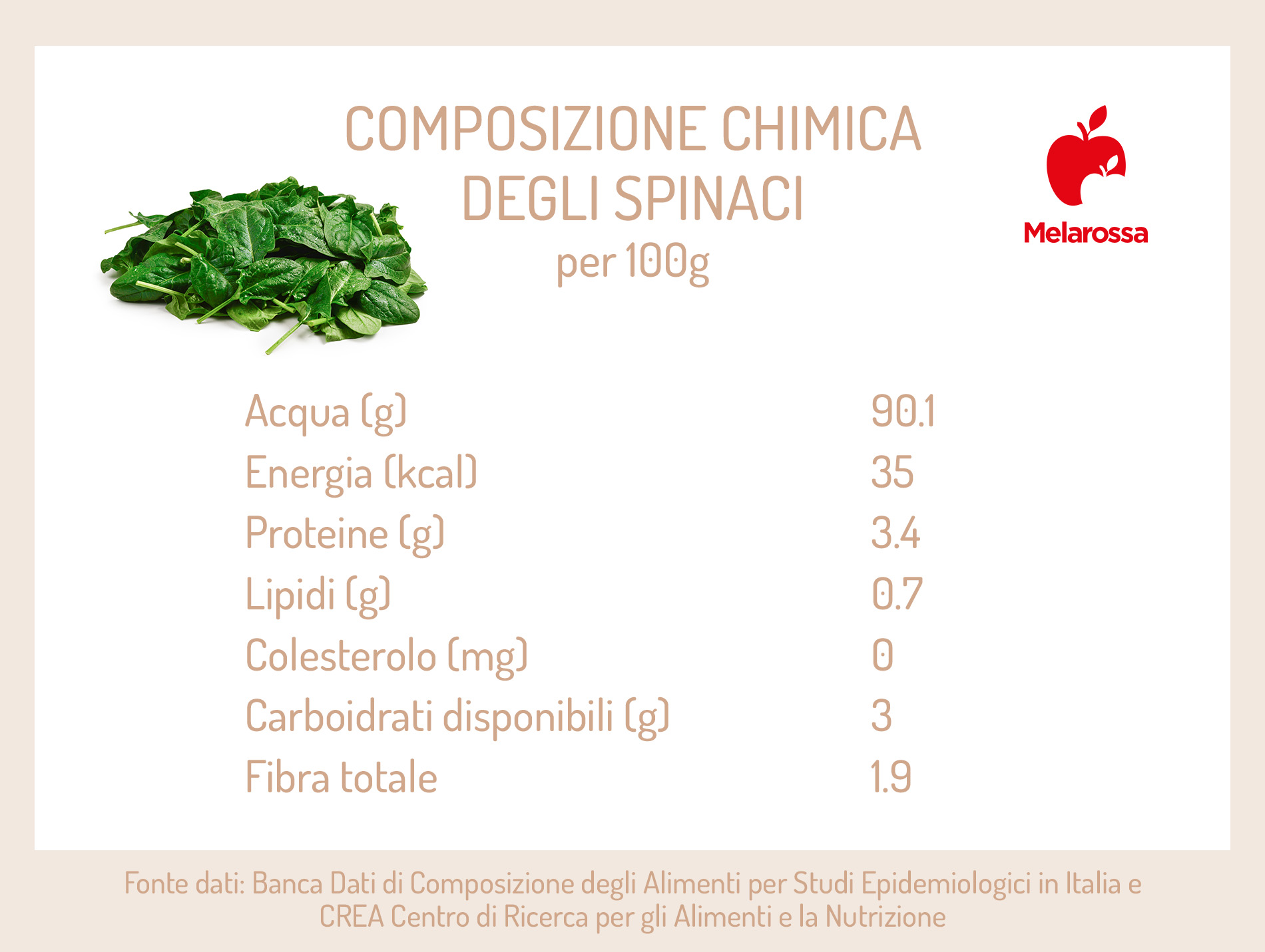 Spinaci: proprietà, benefici, come cucinarli e le migliori ricette 1 grafica con calorie degli spinaci. ma contenuto di lipidi e fibra alimentare per 100 grammi