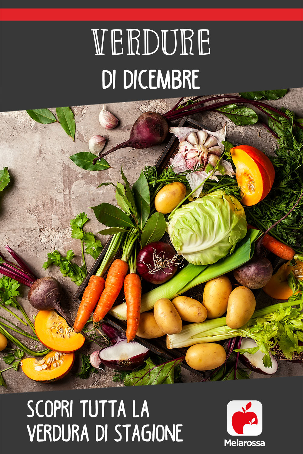 Verdure di dicembre: scopri le verdure di stagione per fare il pieno di vitamine 16 verdure di dicembre: scopri tutta la verdura di stagione