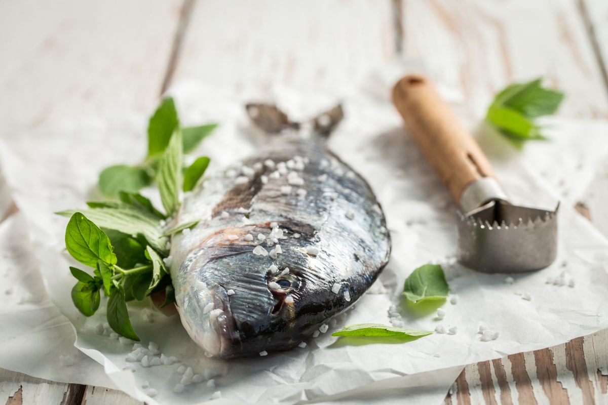 Orata al sale, un secondo veloce, leggero e appetitoso 5 orata al sale a dieta