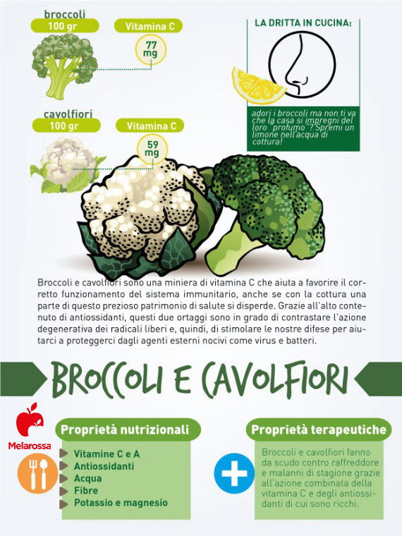 I 12 cibi per prevenire e combattere il raffreddore 7 cibi contro il raffreddore: broccoli