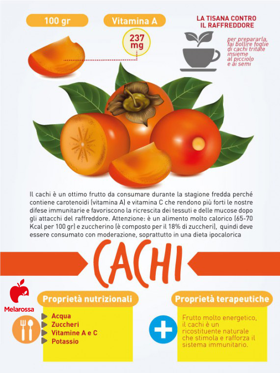 I 12 cibi per prevenire e combattere il raffreddore 11 cachi, cibo per combattere il raffreddore- Scheda illustrata