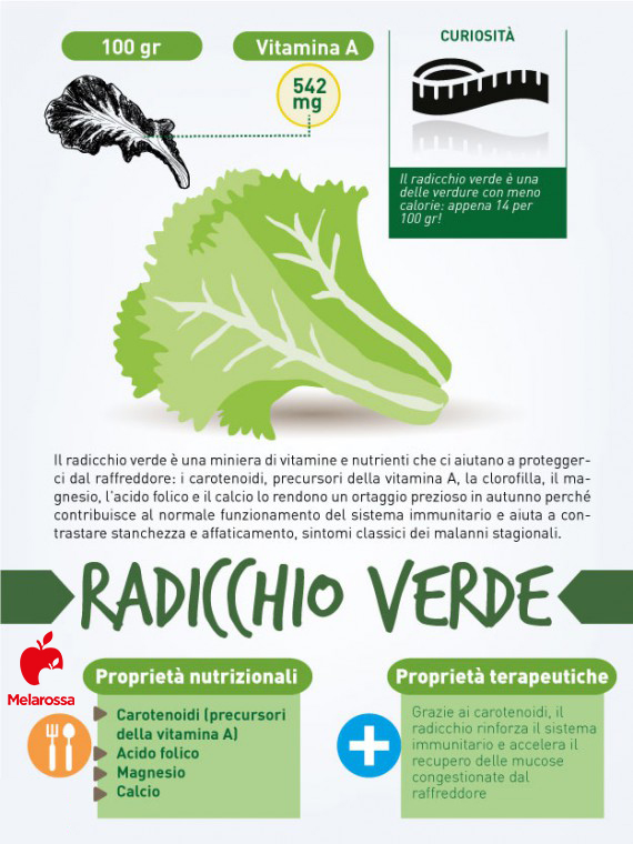 I 12 cibi per prevenire e combattere il raffreddore 12 cibi contro raffreddore: radicchio verde