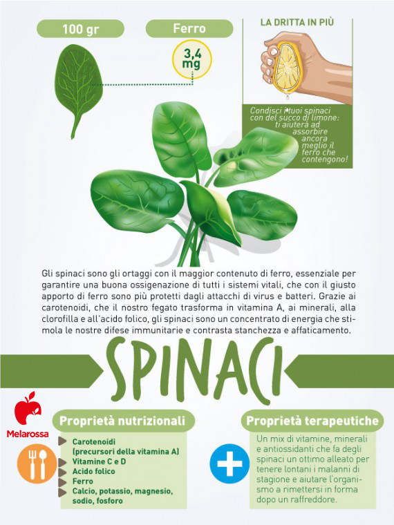 I 12 cibi per prevenire e combattere il raffreddore 10 cibi contro raffreddore: spinaci
