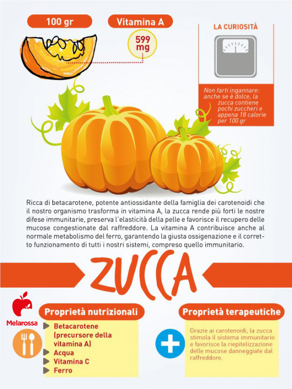 I 12 cibi per prevenire e combattere il raffreddore 5 cibi contro il raffreddore: zucca