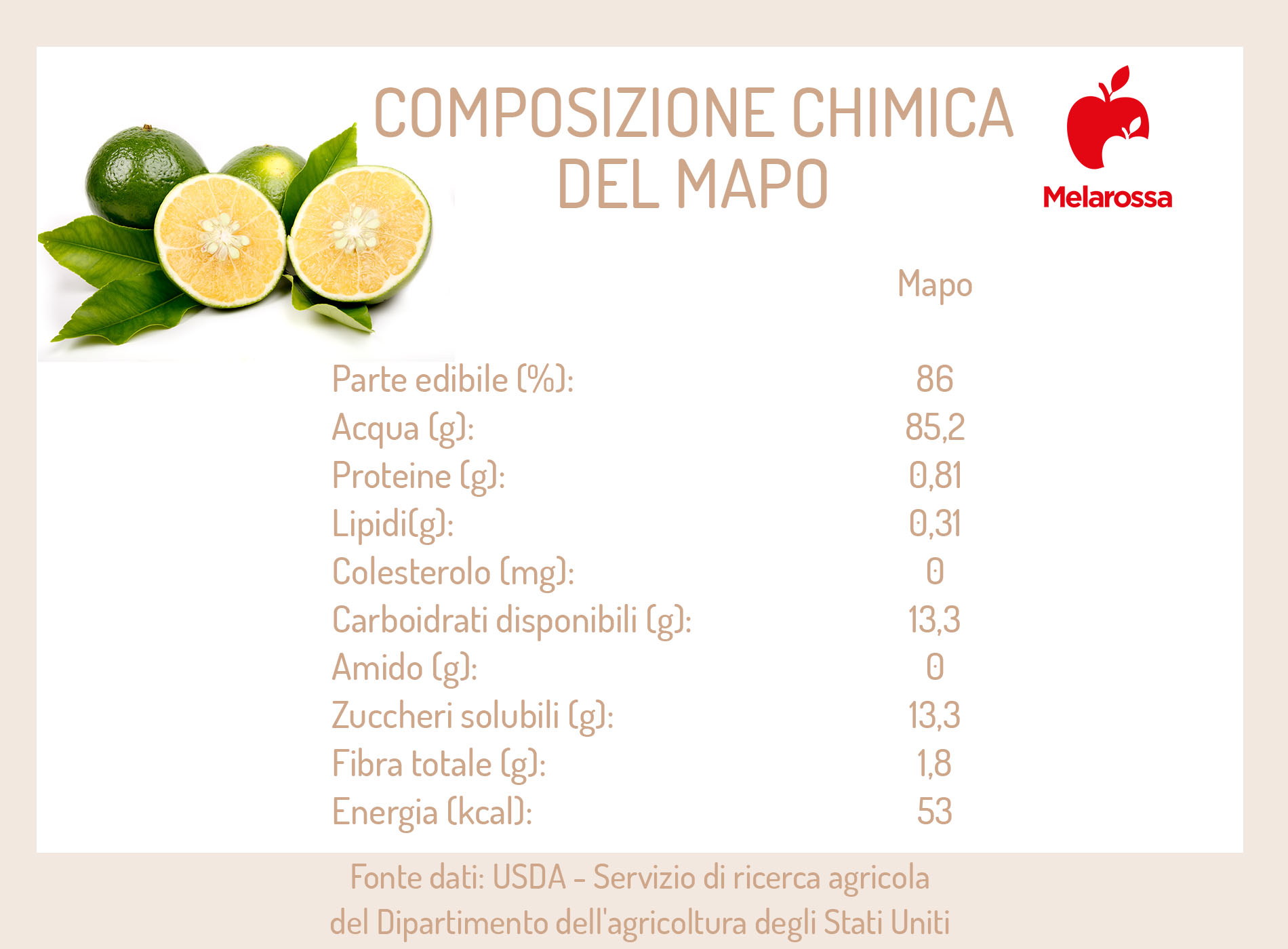 Mapo, l’agrume ibrido: cos’è, stagionalità, benefici, valori nutrizionali e usi in cucina 3 mapo: calorie