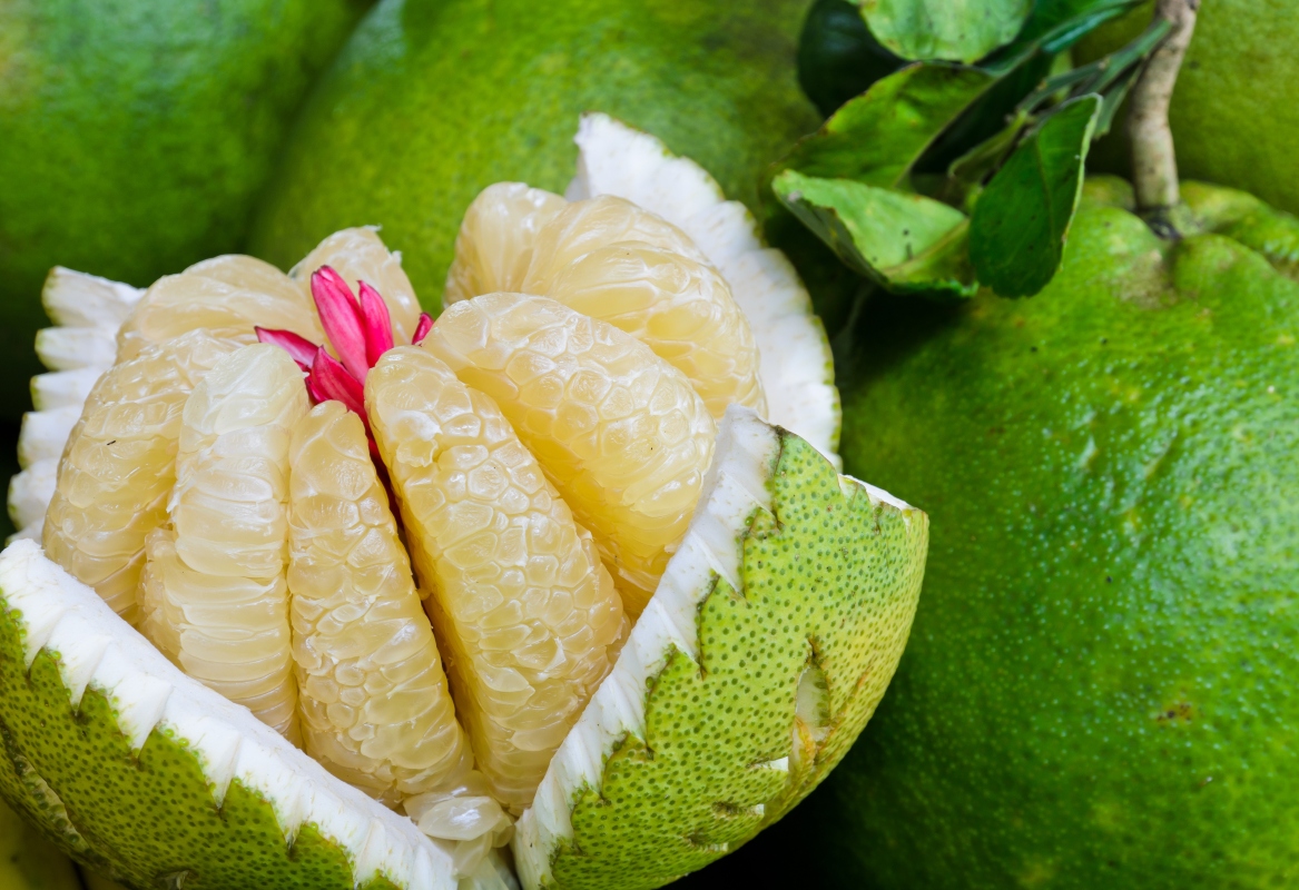 Pomelo: l'agrume più grande del mondo tra proprietà, benefici, usi in cucina e ricette 4 pomelo: benefici