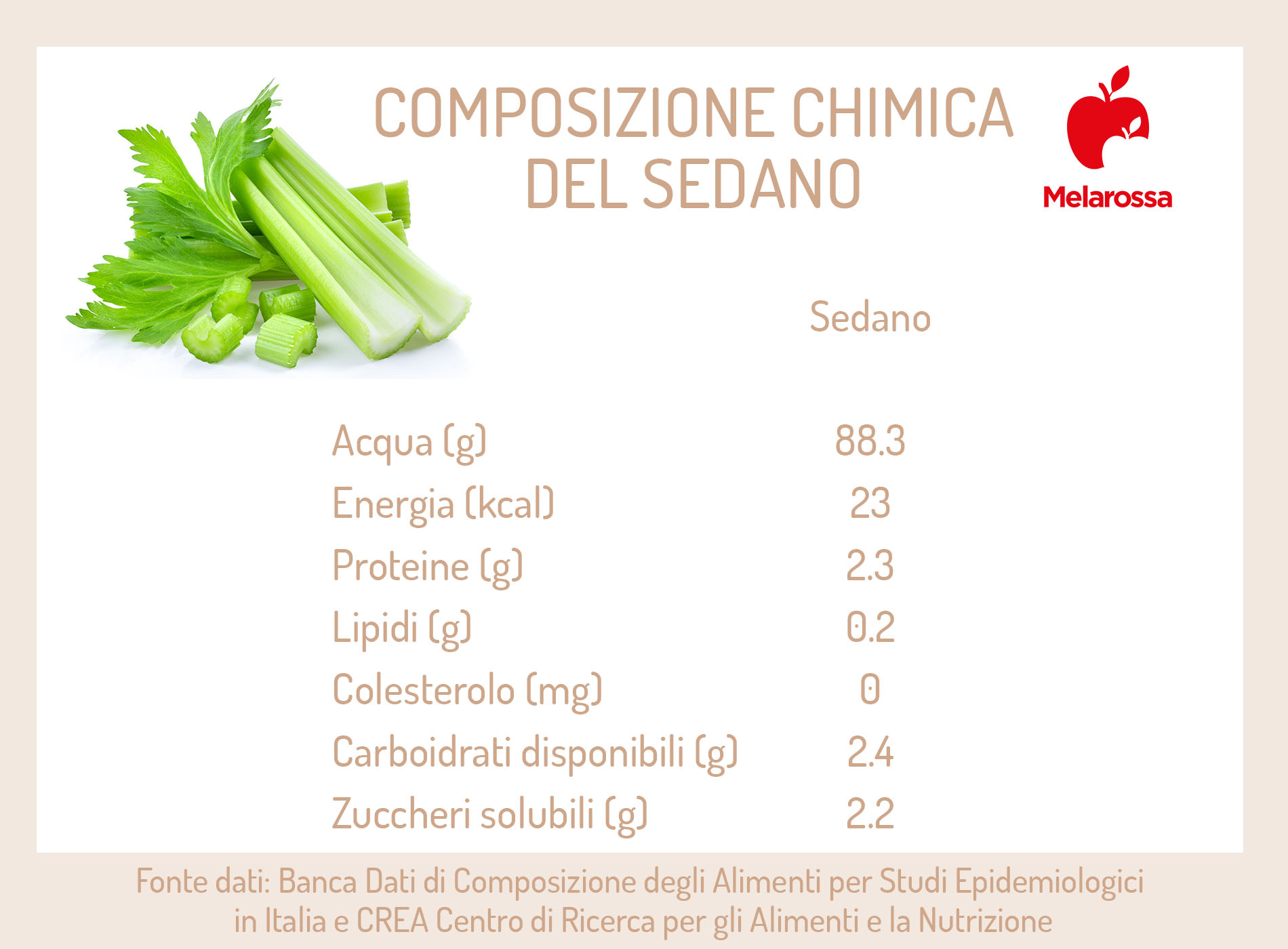 Sedano: proprietà, benefici e usi in cucina 2 una grafica sui valori nutrizionali del sedano