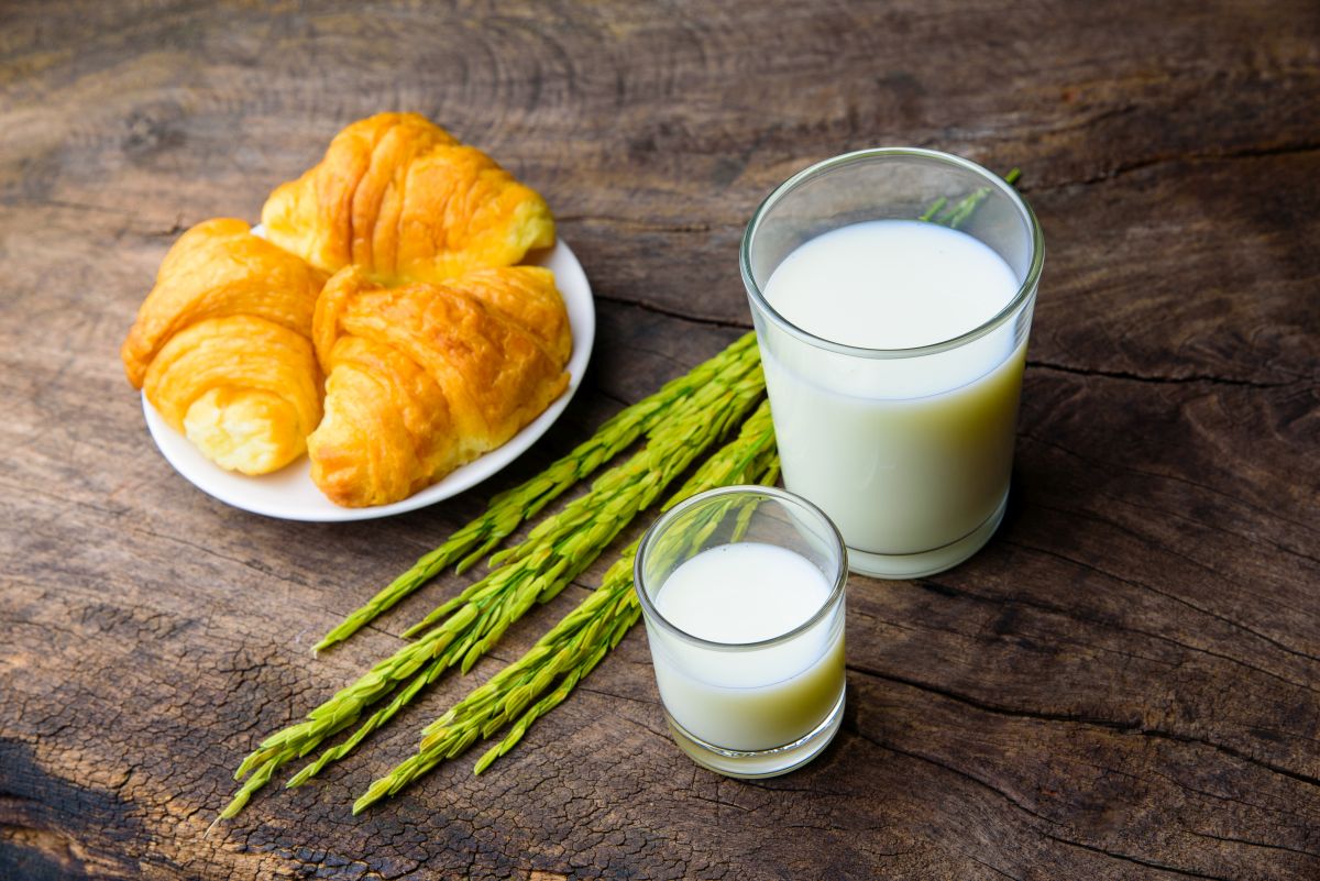 Cornetti vegani, gustosi, facili da fare e 100% vegetali 5 cornetti vegani a dieta