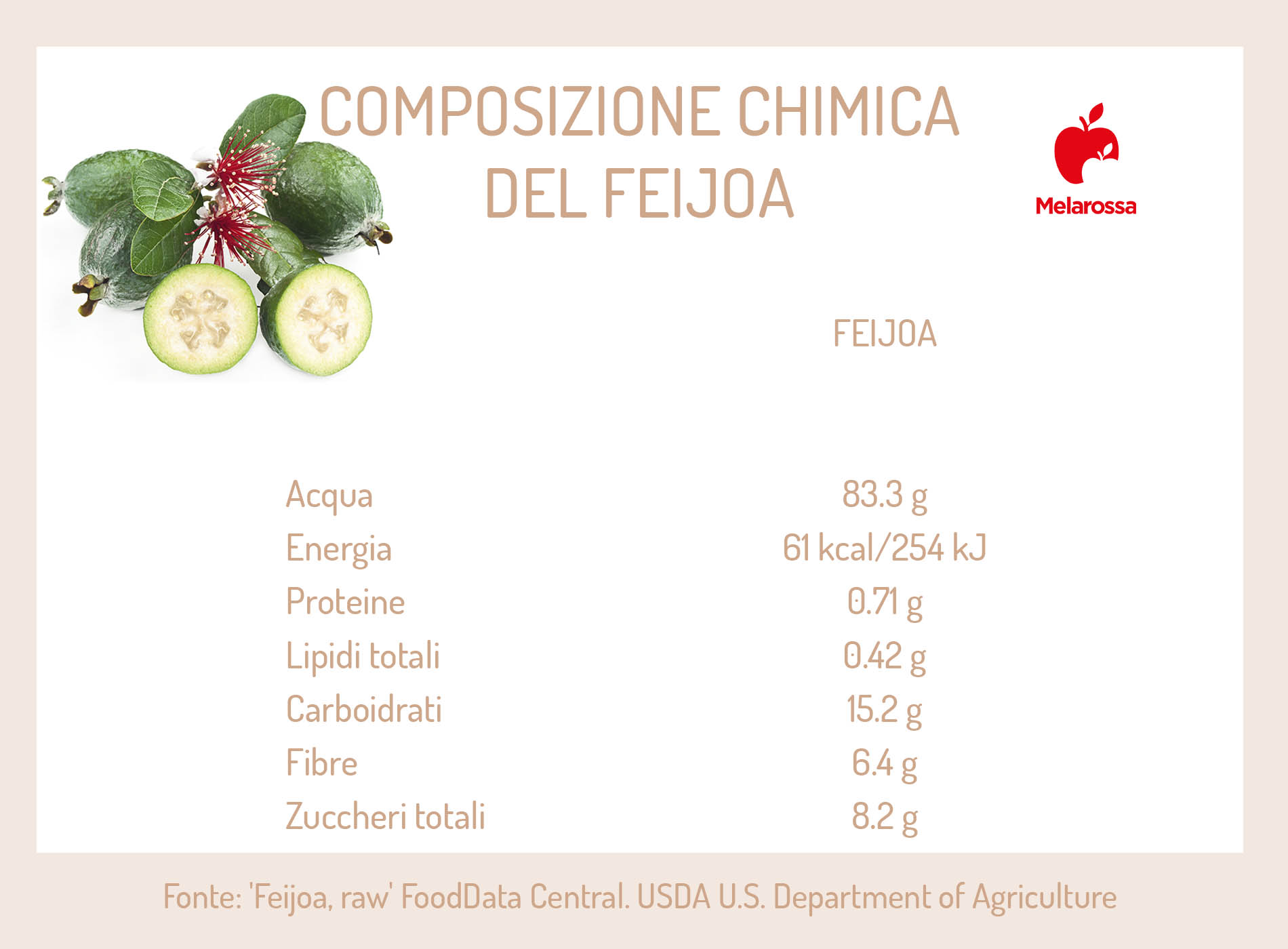 Feijoa: il frutto esotico dai tanti benefici per la salute 1 feijoa: composizione chimica