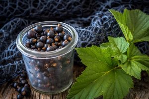Ribes nigrum o nero: cos&rsquo;&egrave;, propriet&agrave; e benefici, come usarlo, posologia