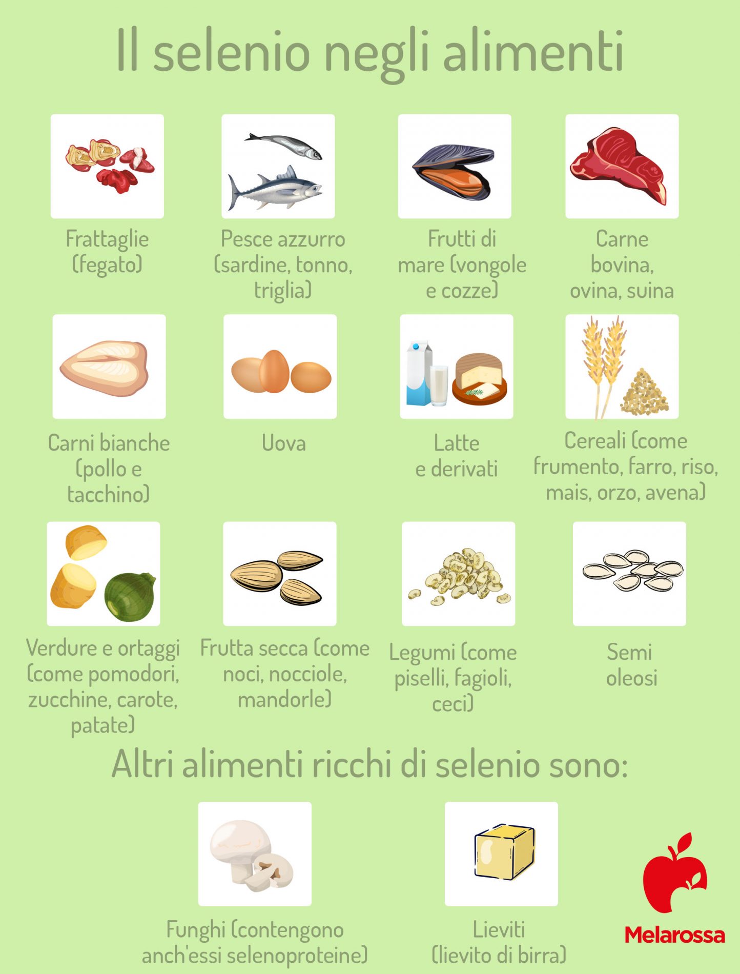 Selenio: a cosa serve, alimenti e integratori 1 grafica sugli alimenti ricchi di selenio