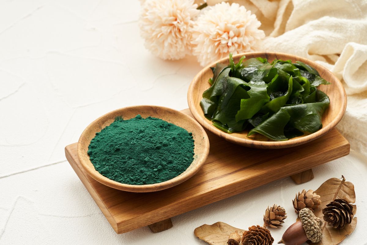 Spirulina: a cosa serve, proprietà, benefici e controindicazioni 3 spirulina fresca e in polvere dentro due ciotole distinte