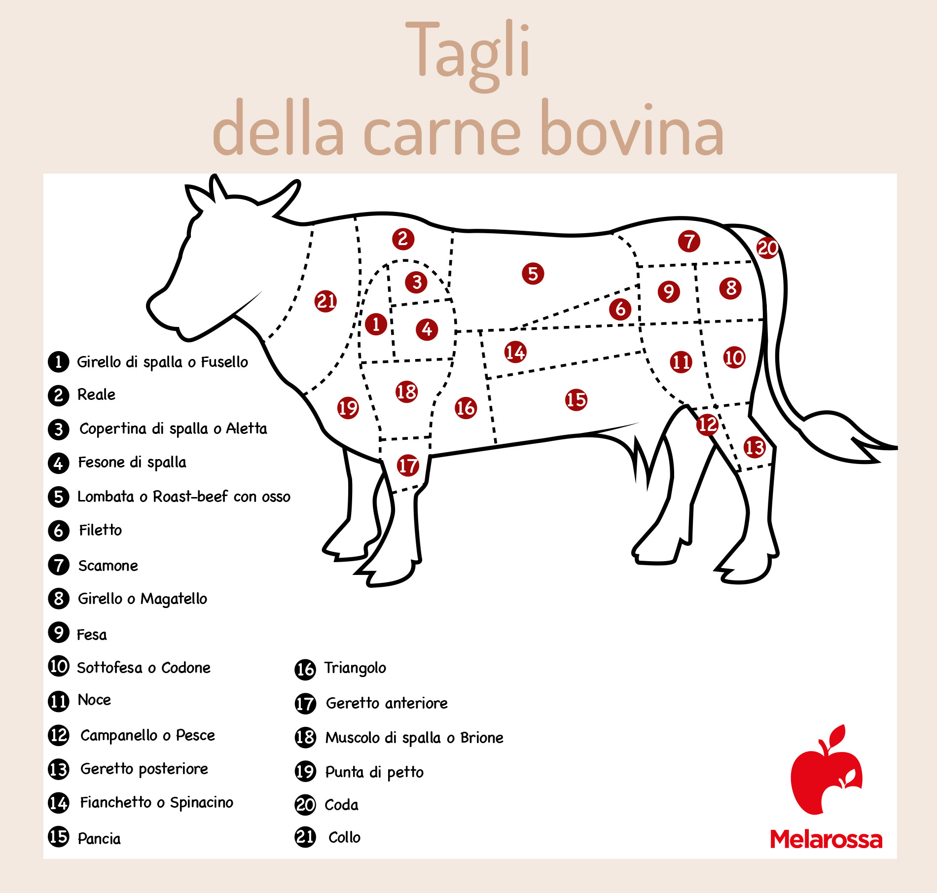 Carni rosse: quali sono, i vari tagli, valori nutrizionali, benefici, come cucinarle e quanta carne mangiare 2 quali sono i tagli della carne di bovino?