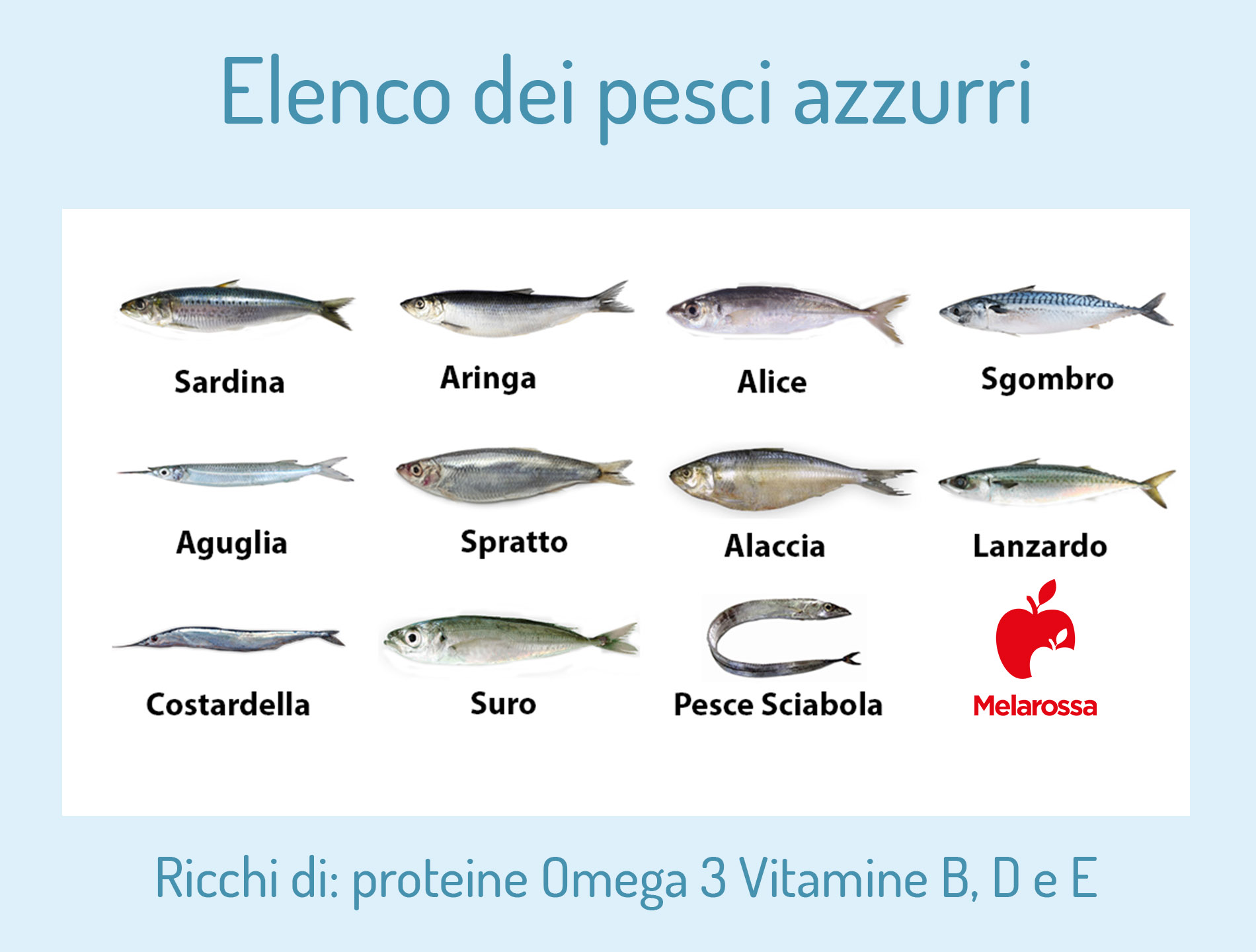 Epatite E: cos’è, come si trasmette, sintomi, cause e soggetti a rischio, cure e trattamenti, possibili complicazioni 5 dieta da seguire: epatite E