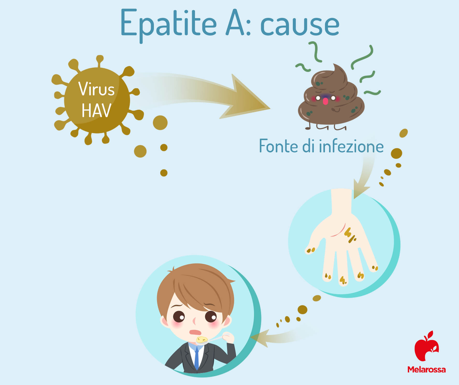 Fegato: dove si trova, quando preoccuparsi e sintomi se non funziona bene 4 Grafica sulle epatiti