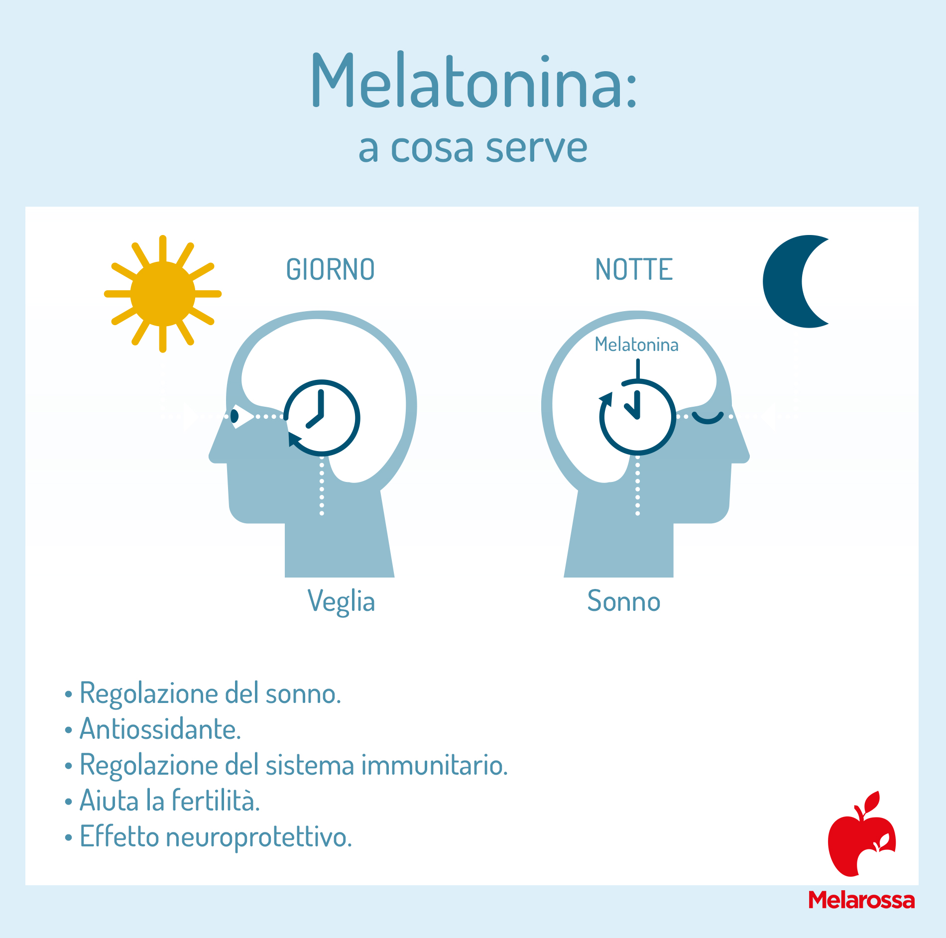 Melatonina: proprietà, benefici e controindicazioni 3 a cosa serve la melatonina