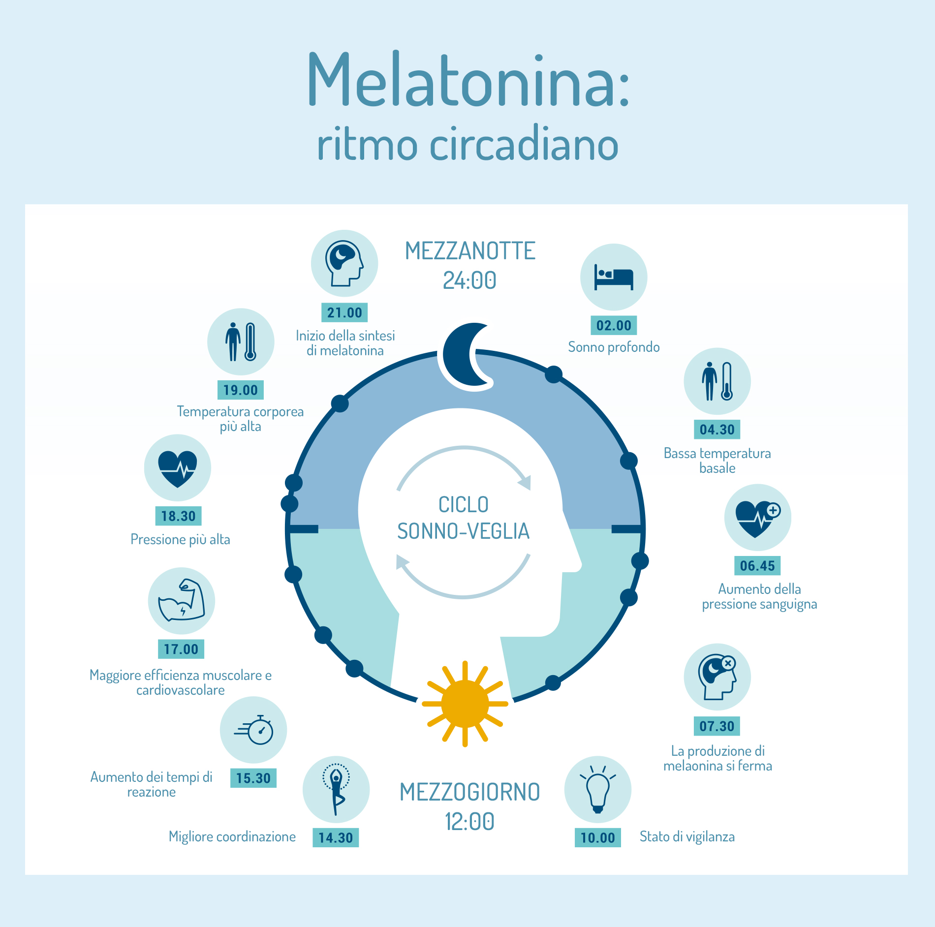 Melatonina: proprietà, benefici e controindicazioni 2 Melatonina: ciclo del sonno