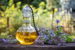 Olio di borragine: propriet&agrave; e benefici, per cosa si usa, controindicazioni