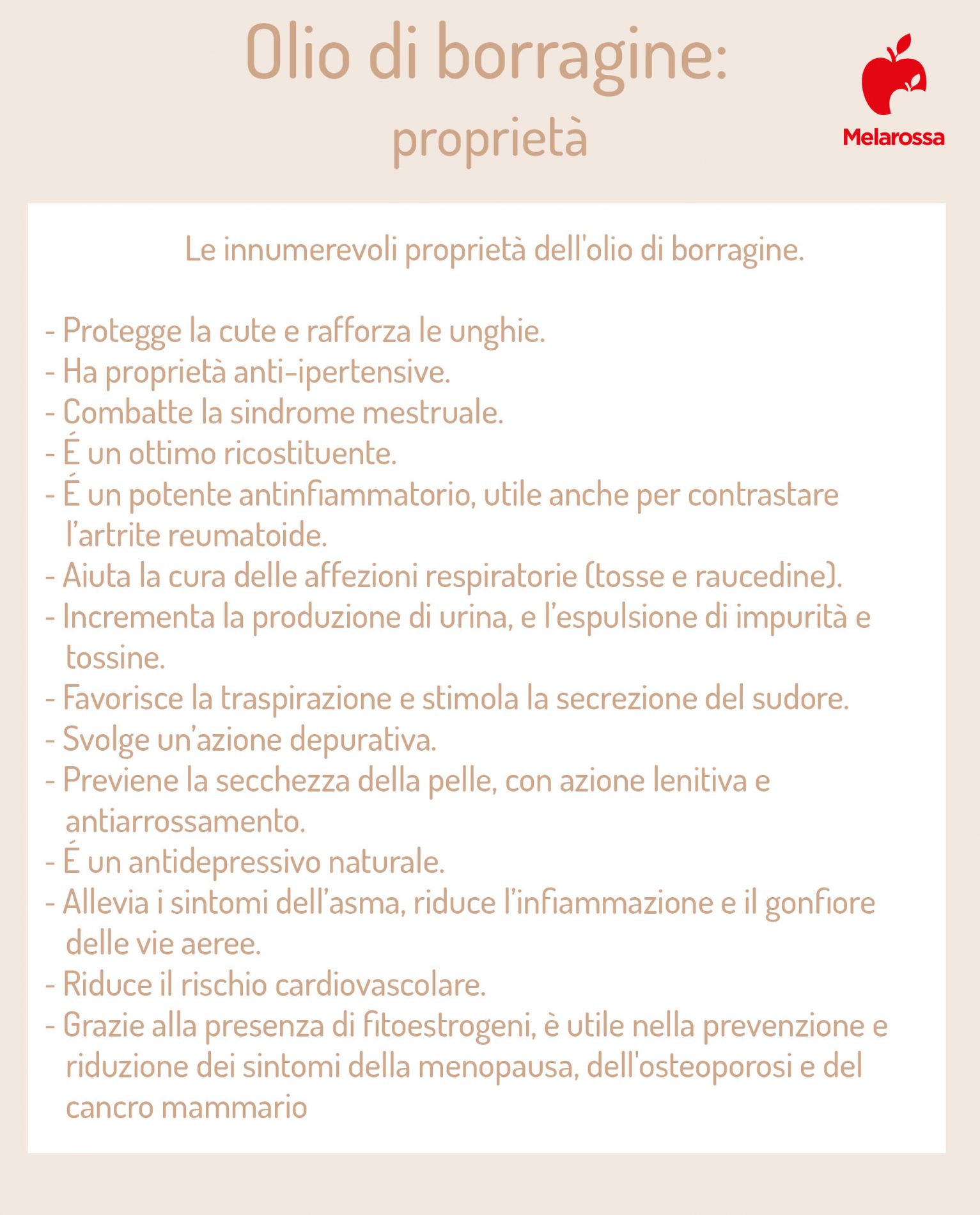 Olio di borragine: proprietà e benefici, per cosa si usa, controindicazioni 1 olio di borragine: proprietà e benefici