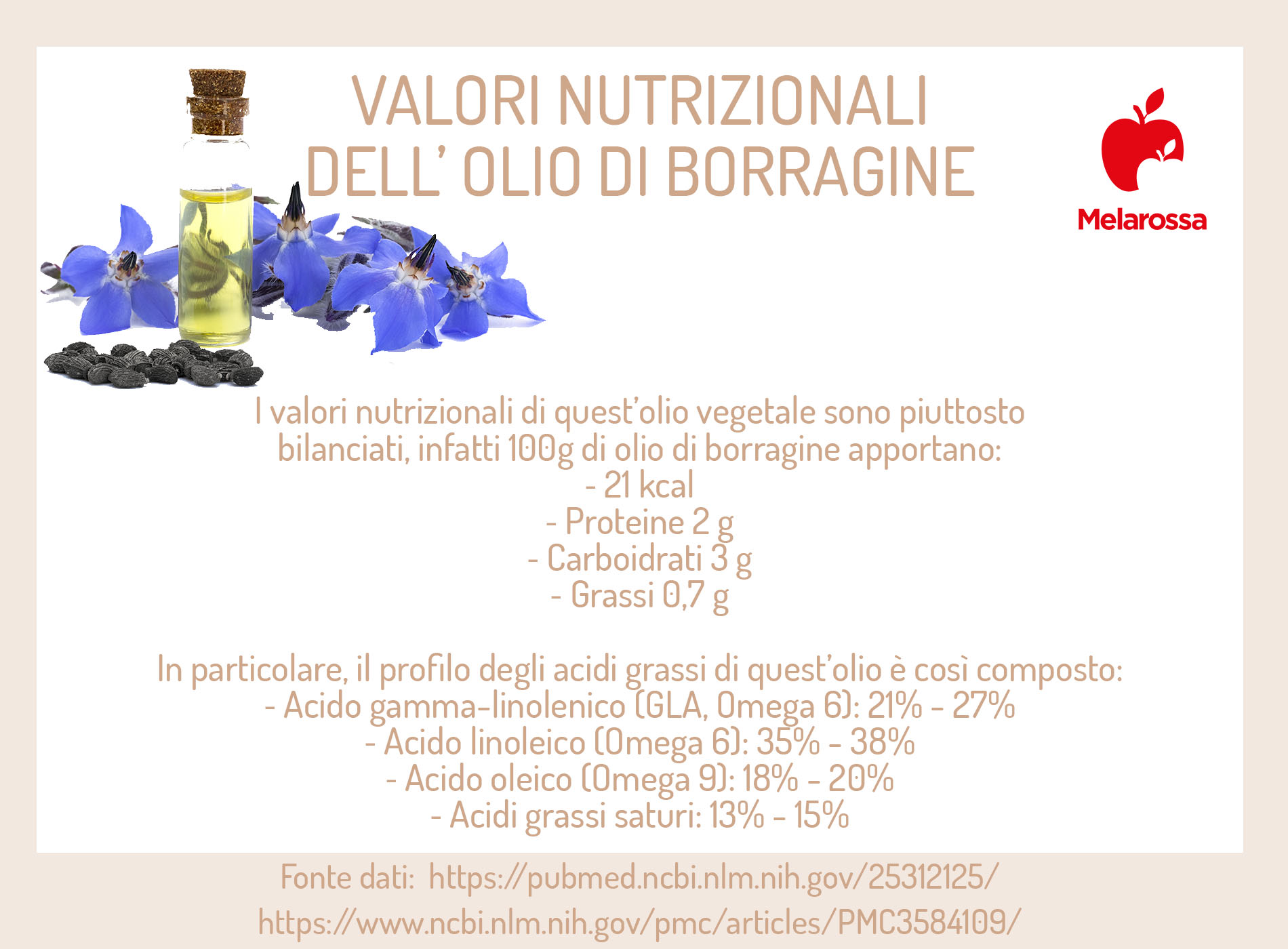 Olio di borragine: proprietà e benefici, per cosa si usa, controindicazioni 5 valori nutrizionali dell'olio di borragine