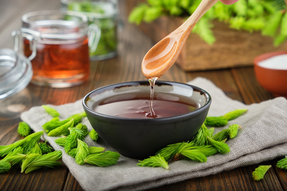 Abete rosso: cos'è, proprietà, benefici, modalità d'uso e controindicazioni 3 abete rosso: usi in cucina