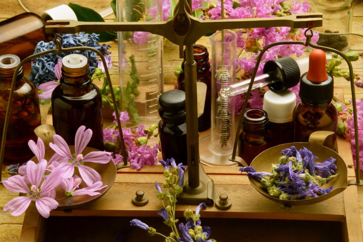 Fiori di Bach: cosa sono, a cosa servono e tutte le proprietà 4 fiori di Bach: come si usano