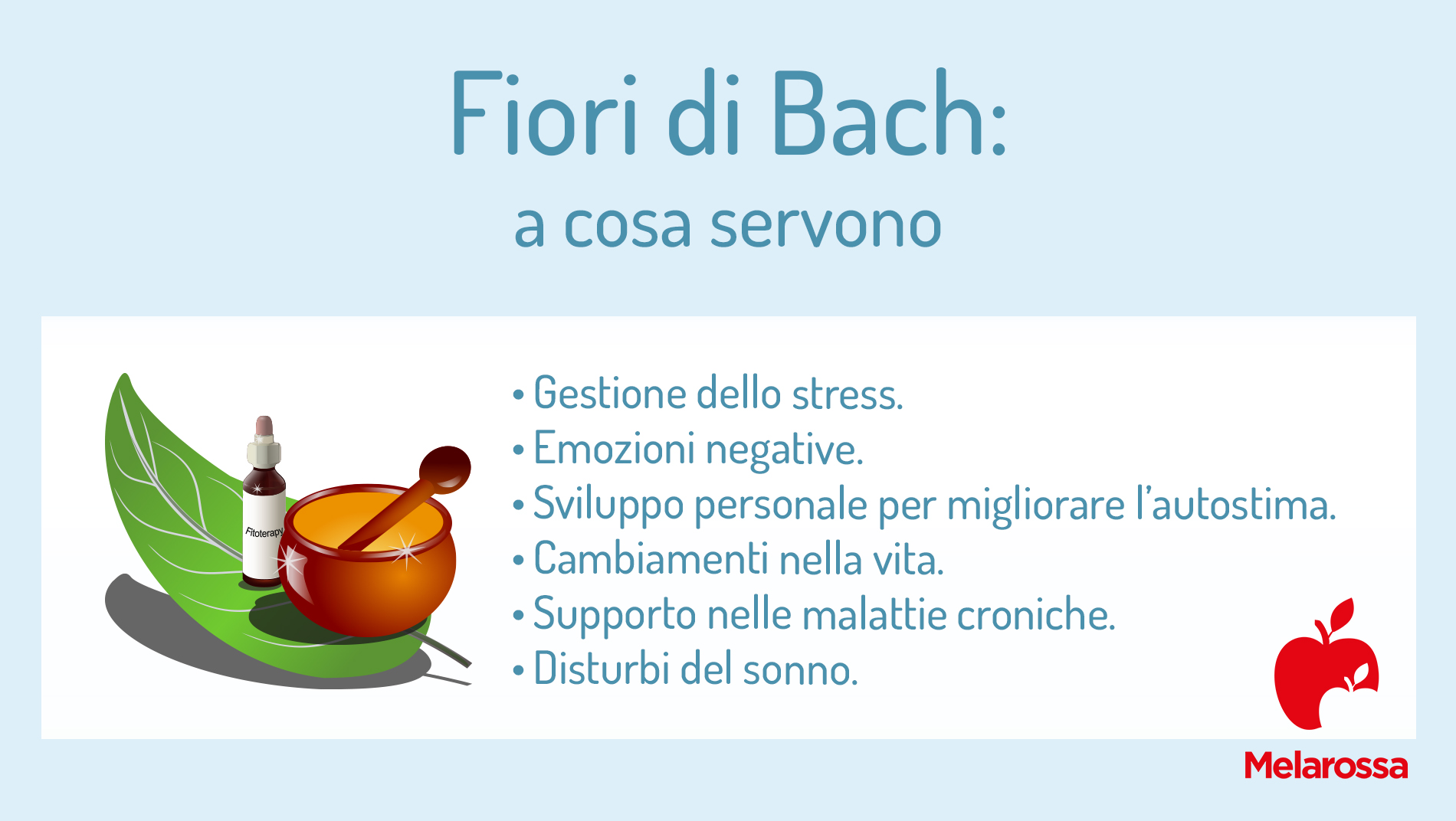 Fiori di Bach: cosa sono, a cosa servono e tutte le proprietà 1 fiori di Bach: a cosa servono