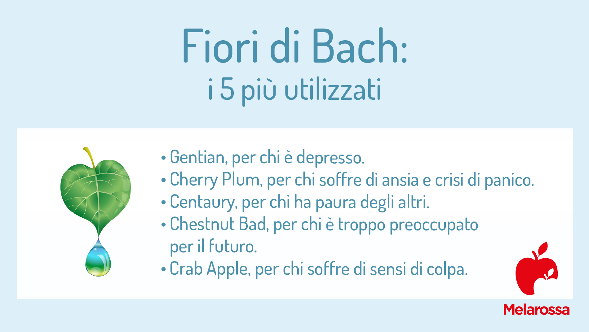 Fiori di Bach: cosa sono, a cosa servono e tutte le proprietà 3 fiori di Bach, i 5 più usati