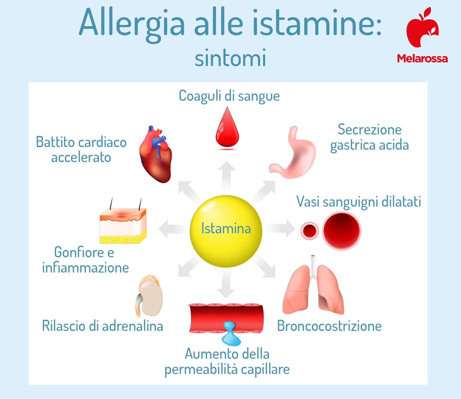 Istamina: cos’è, allergie, alimenti ed esempio di dieta senza istamina 2 una grafica sui sintomi da allergia da istamina