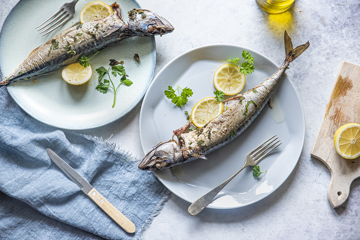Sgombro: come si cucina, ricette e proprietà nutrizionali 3 due sgombri su un piatto cotti in forno