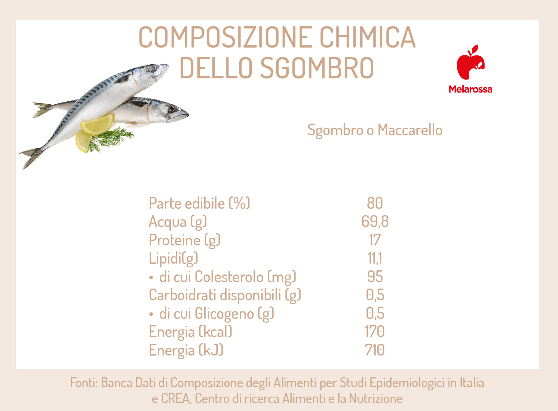 Sgombro: come si cucina, ricette e proprietà nutrizionali 1 Grafica sulla composizione chimica dello sgombro