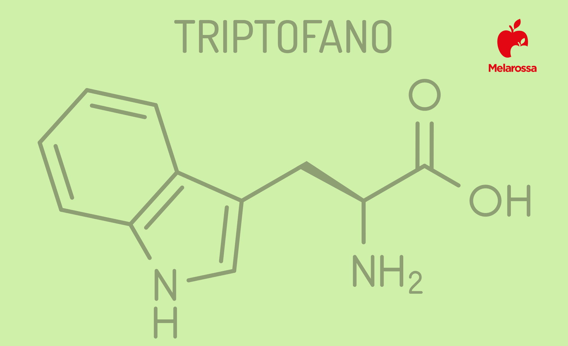 Triptofano: cos’è, proprietà, a cosa serve, alimenti ricchi, quando usare gli integratori, benefici e controindicazioni 1 triptofano: che cos' è
