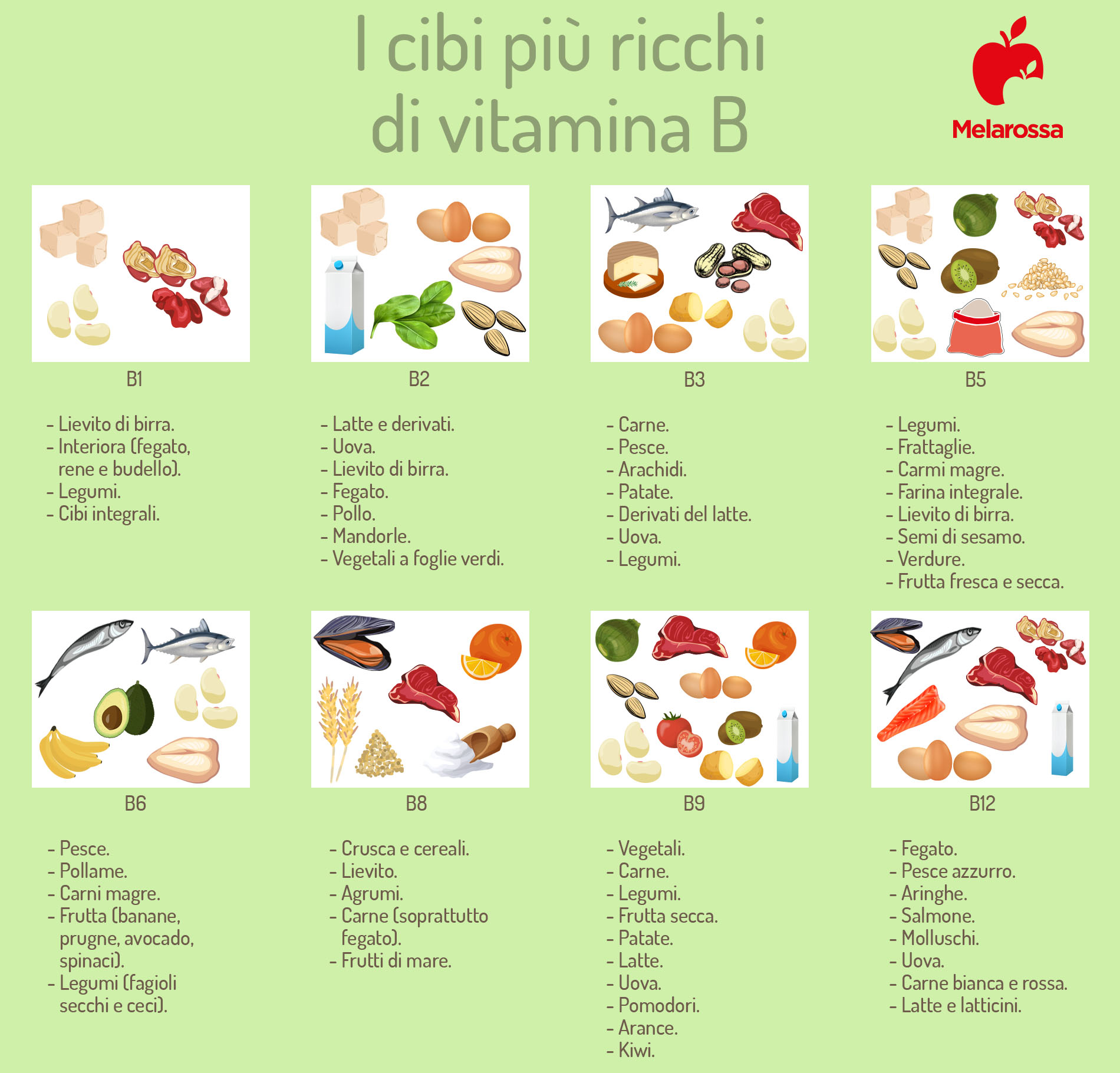 Vitamina B: a cosa serve, alimenti ricchi, integratori e per quanto tempo assumerla 1 i cibi più ricchi di vitamina B: infografica