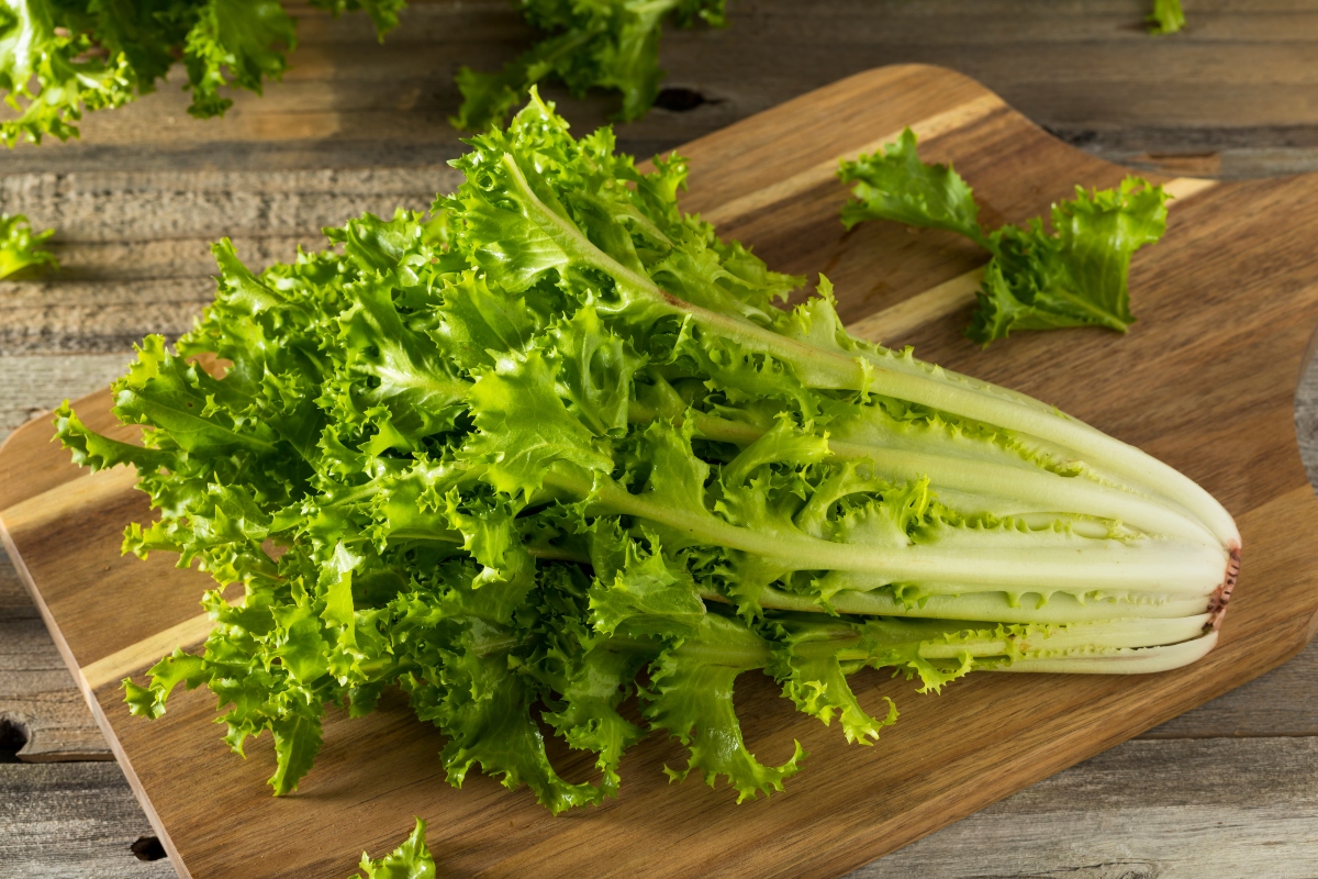 Lattuga: che cos’è, varietà e tipologie, valori nutrizionali, benefici, ricette 3 benefici dell'insalata
