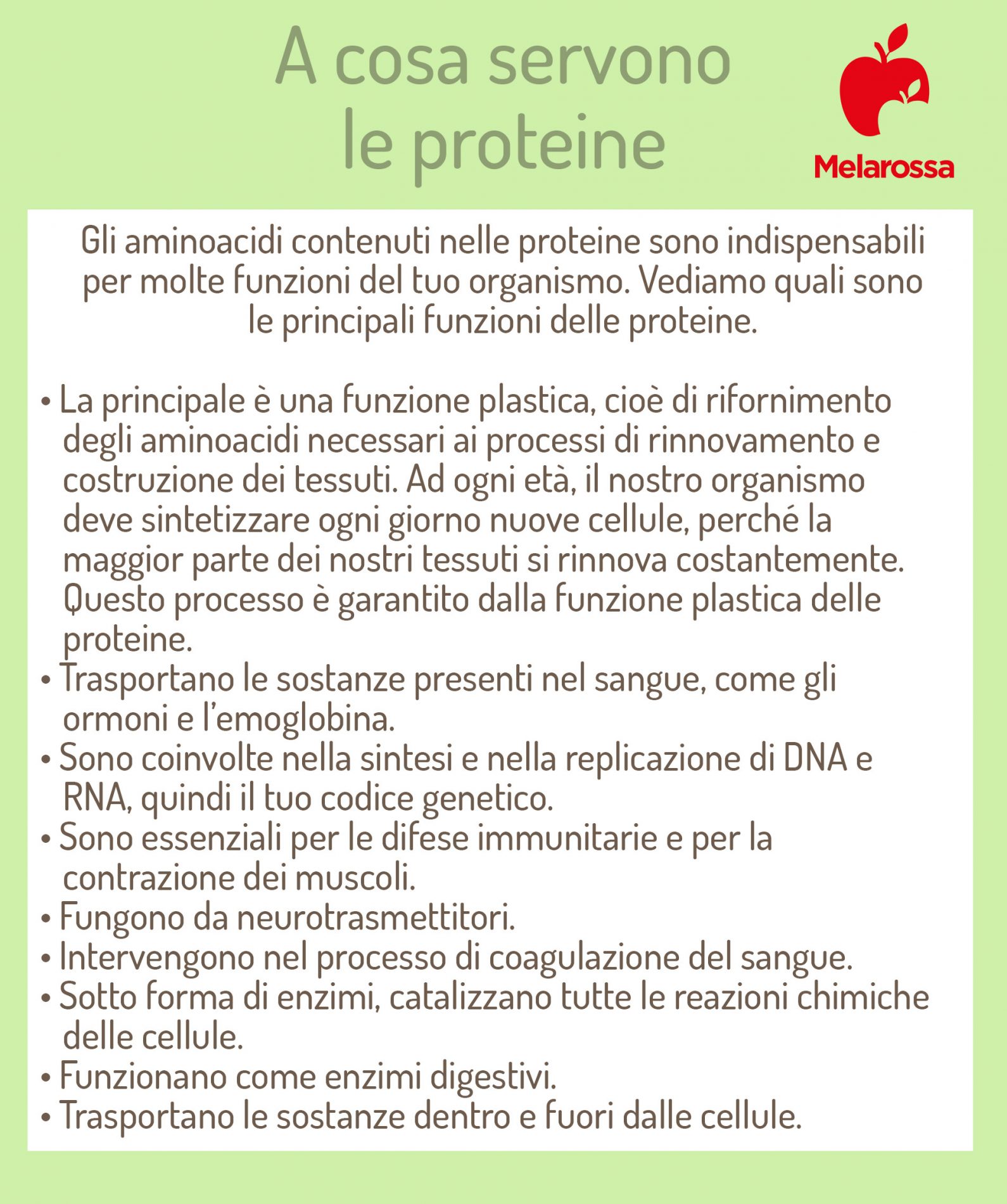 Proteine: cosa sono, perché sono importanti, tipologie, alimenti ricchi 1 a che coso servono le proteine?