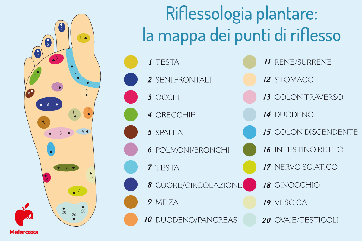 Riflessologia plantare: cos'è, a cosa serve, mappa del piede, come funziona la seduta, benefici e controindicazioni 2 riflessologia plantare: mappa