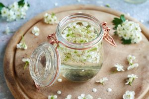 Biancospino: cos&rsquo;&egrave;, propriet&agrave;, benefici, usi e controindicazioni