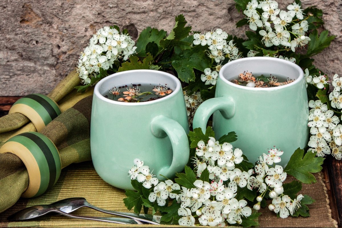 Biancospino: cos'è, proprietà, benefici, usi e controindicazioni 2 biancospino: usi e ricette