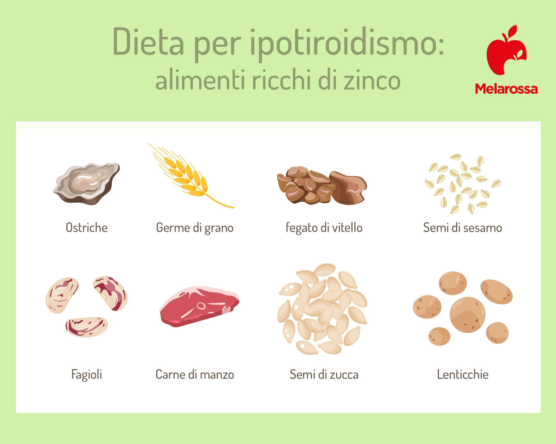 Dieta per ipotiroidismo: cosa mangiare e cibi da evitare 3 grafica sugli alimenti ricchi di zinco