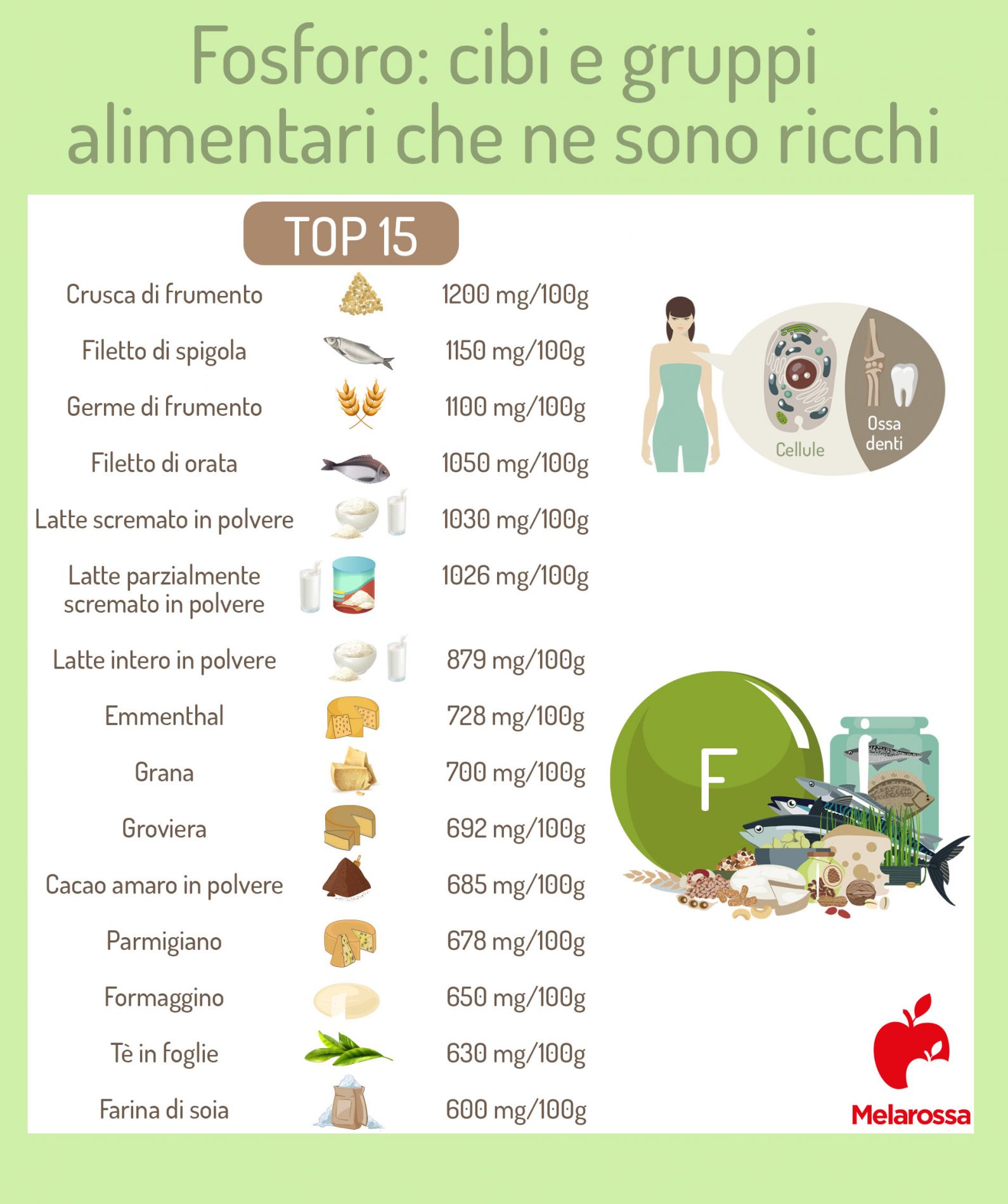 Fosforo: cos'è, a cosa serve, benefici, fabbisogno, alimenti ricchi, conseguenze di una carenza o di un eccesso 3 fosforo: alimenti ricchi