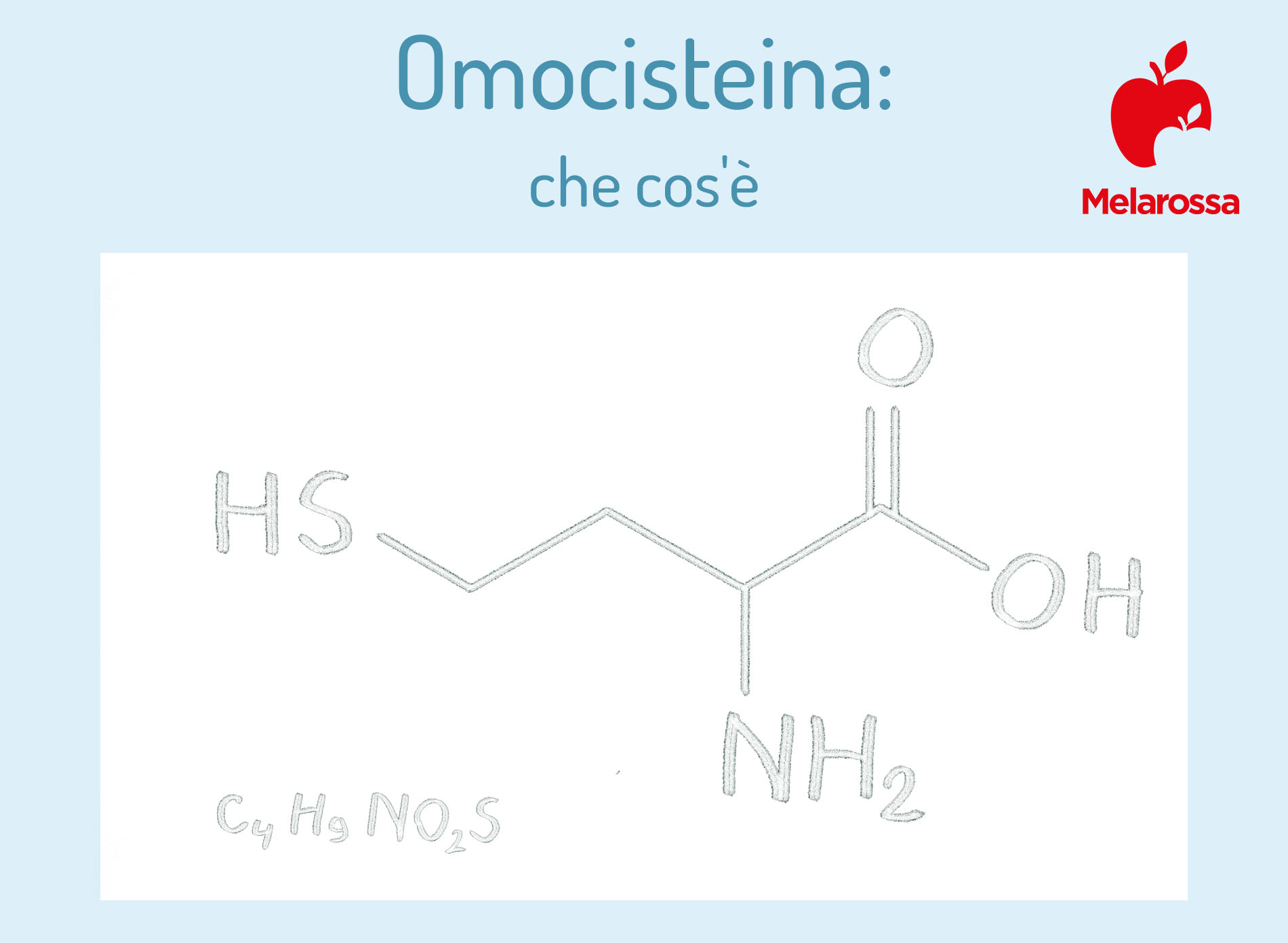 Omocisteina: cos'è, a cosa serve, quando fare l'esame, valori normali, cosa fare quando è alta o bassa 1 omocisteina: che cos'è