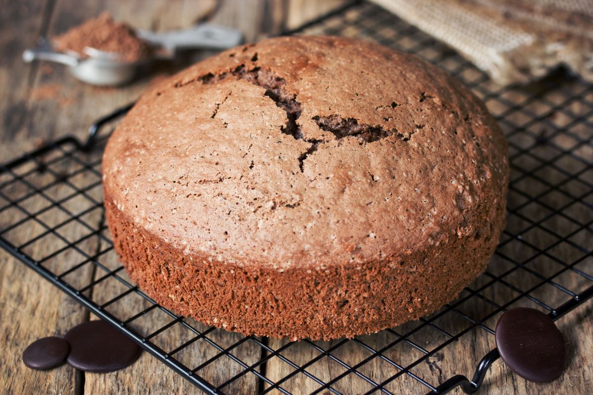 Pan di Spagna al cacao, la base dolce perfetta per i tuoi dolci 1 Ricetta pan di Spagna al cacao