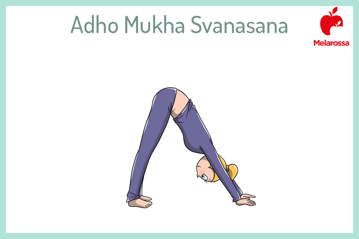 Saluto al Sole o Surya Namaskar: come fare la sequenza (guida illustrata) e perché fa bene alla salute 11 Illustrazione che spiega come fare una posizione del saluto al sole, il cane a testa in giù