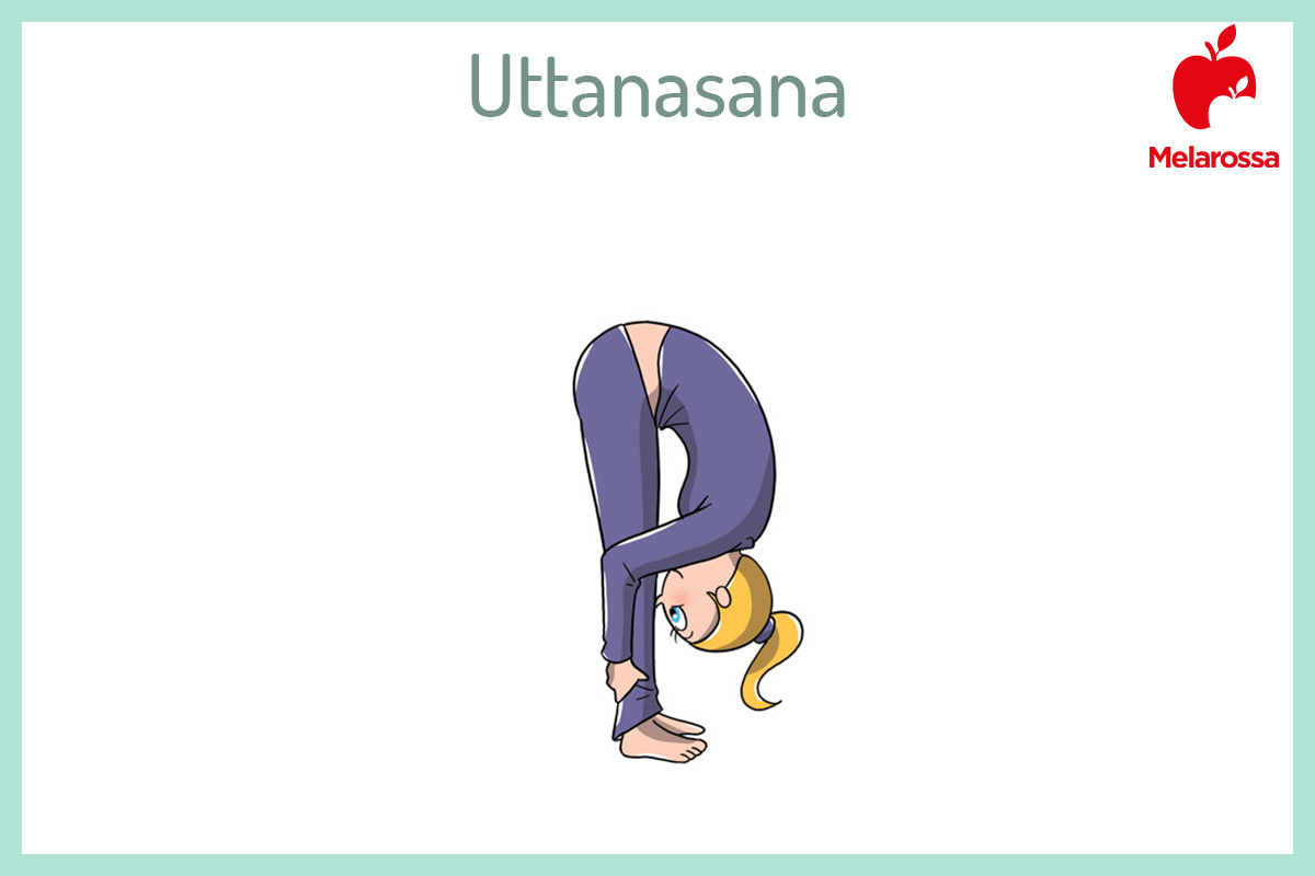 Saluto al Sole o Surya Namaskar: come fare la sequenza (guida illustrata) e perché fa bene alla salute 6 Illustrazione per spiegare una posizione del saluto al sole, piegamento in avanti gambe tese cercando di portare la testa verso le ginocchia