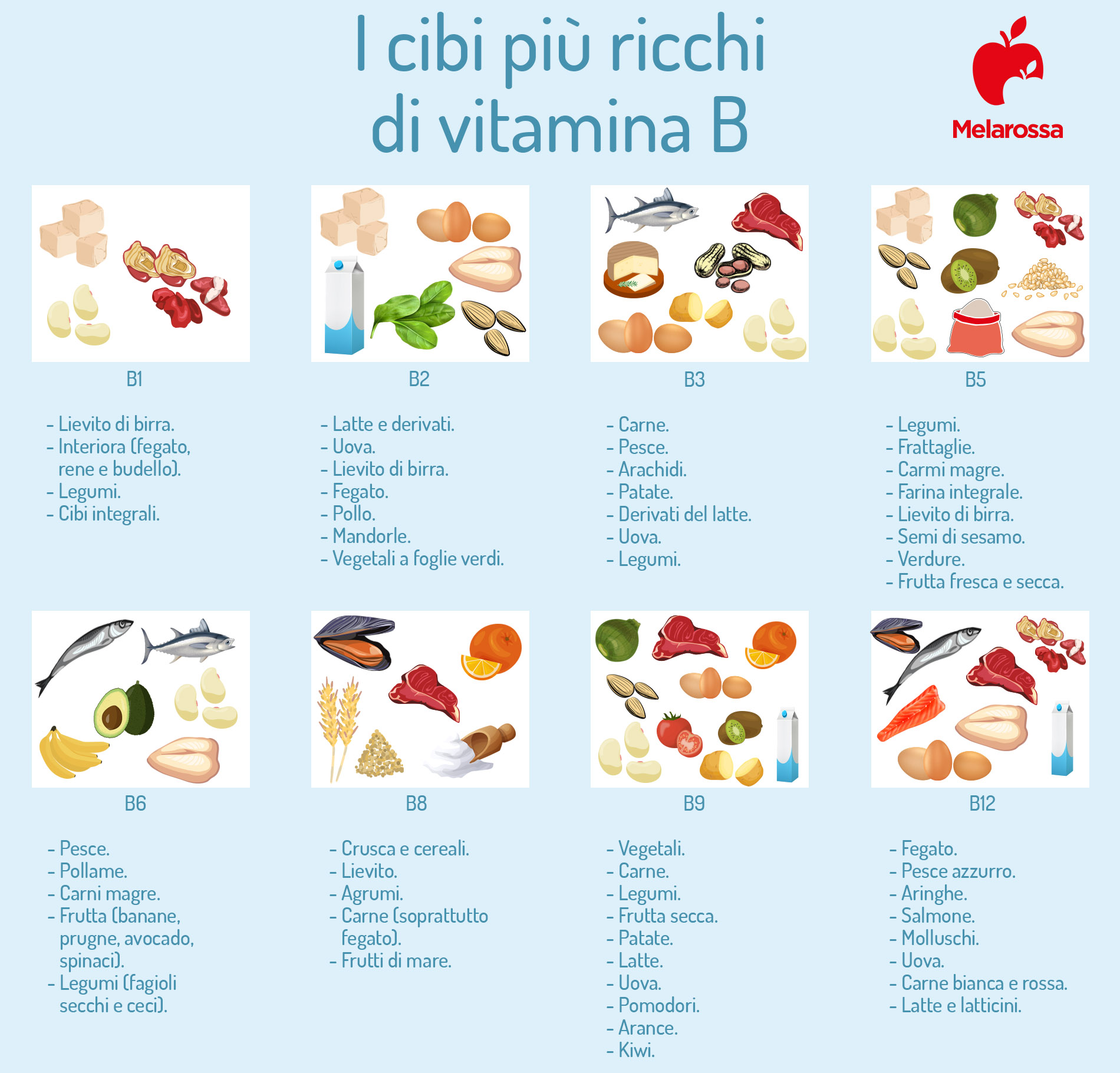Omocisteina: cos'è, a cosa serve, quando fare l'esame, valori normali, cosa fare quando è alta o bassa 5 vitamina B e omocisteina