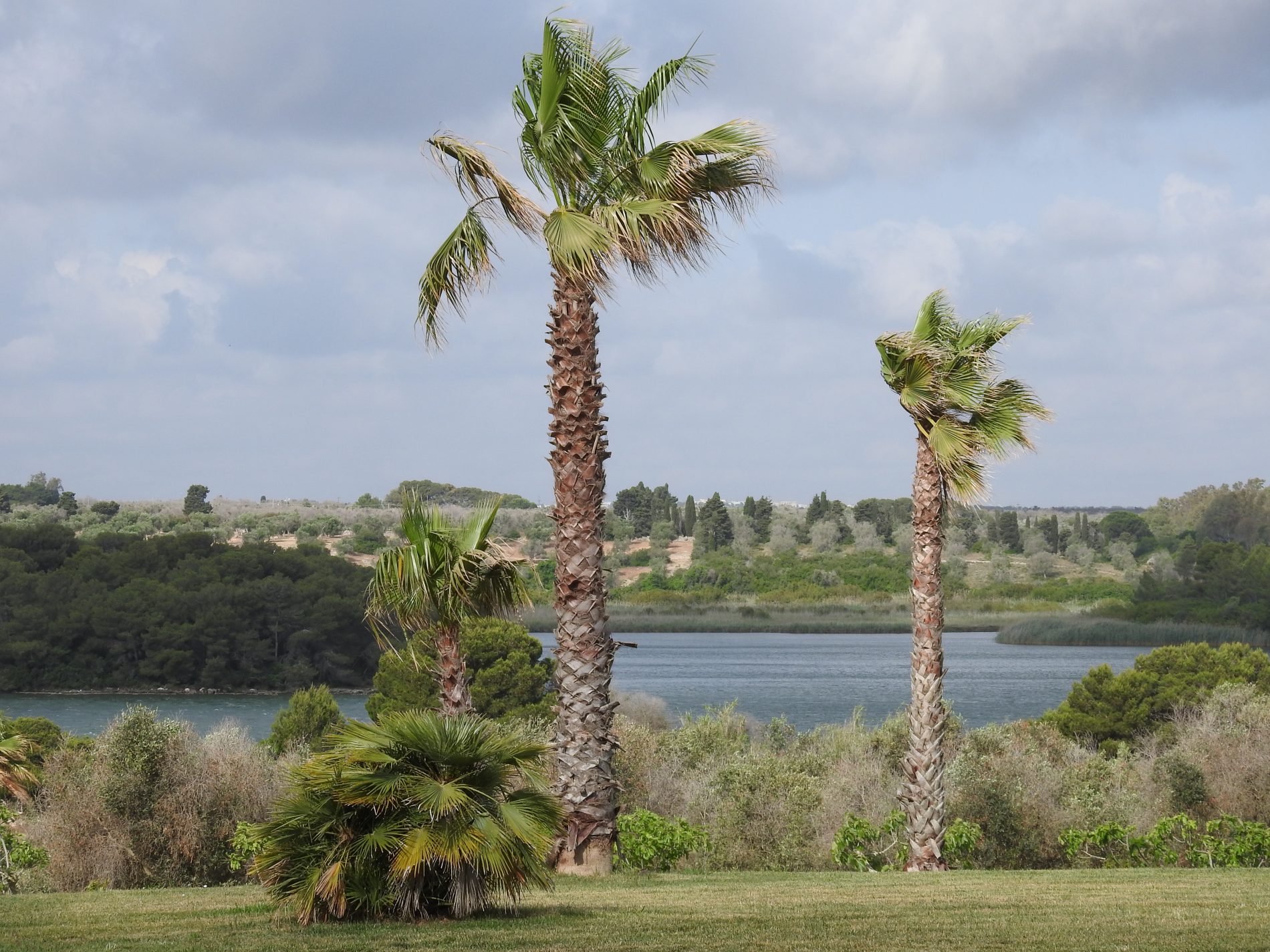 Alla scoperta di Otranto: il gioiello del Salento 2 laghi alimini BB lake of paradise 1