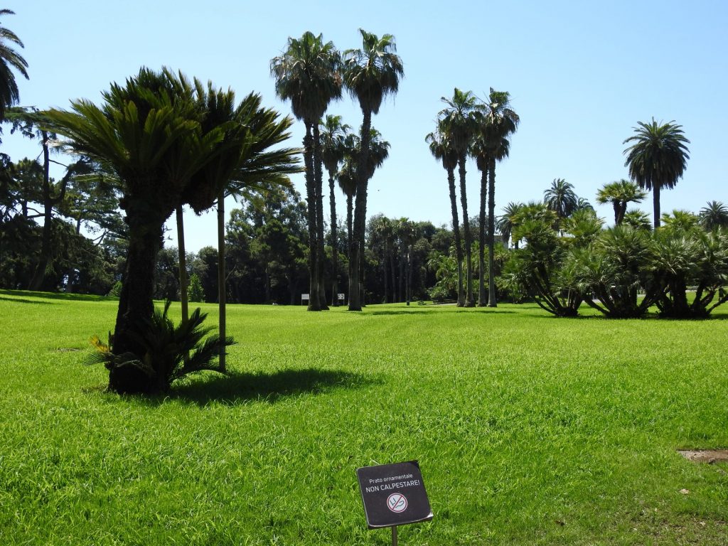 Alla scoperta del Parco di Capodimonte: un pezzo di Svizzera al centro di Napoli 14 napoli real bosco di capodimonte 2